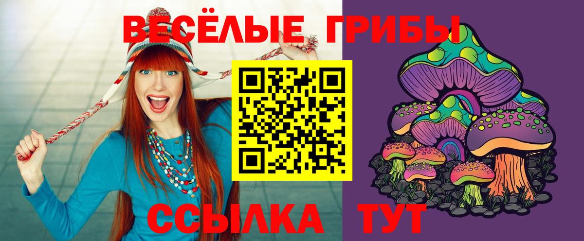 Чусовой  Галлюциногенные грибы GOLDEN TEACHER  Вход с VPN 