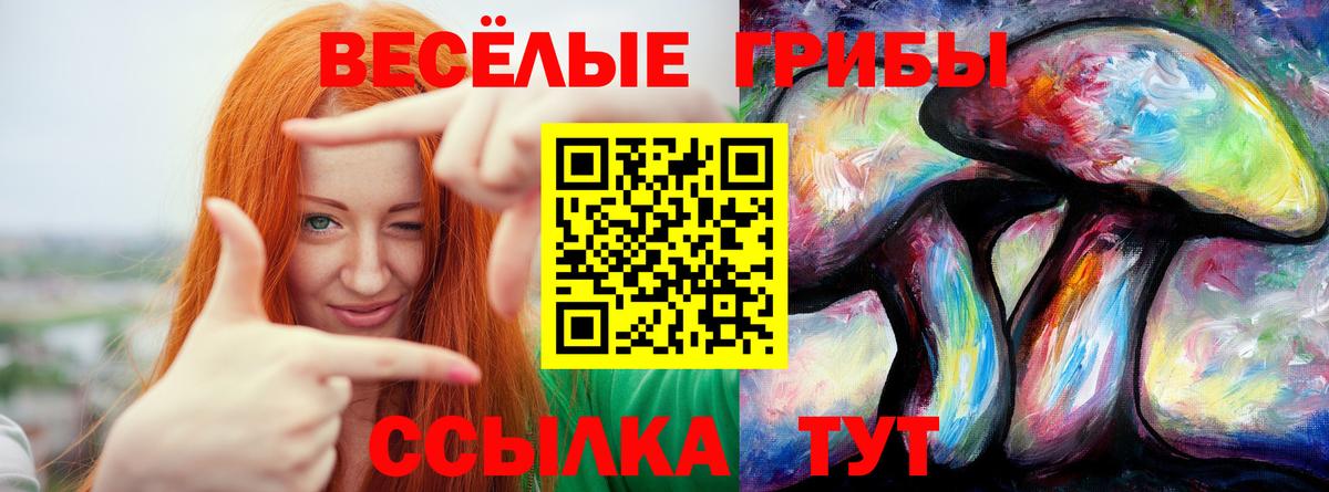 Псилоцибиновые грибы мицелий Чусовой
